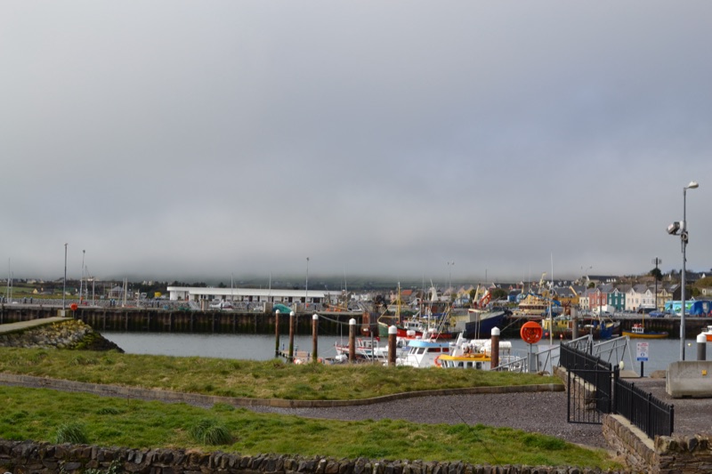 Harbour view from Tinlough House, Dingle